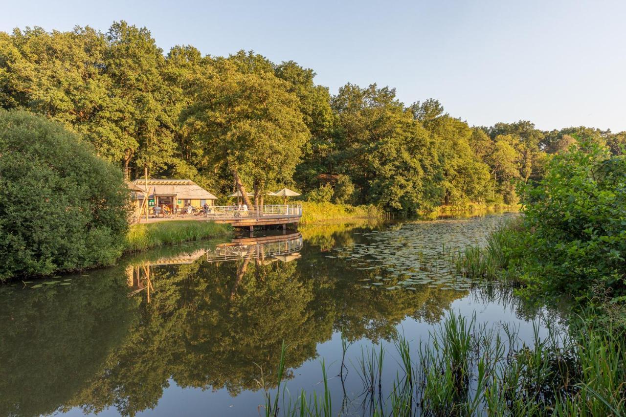Chalets De Roos Beerze Esterno foto